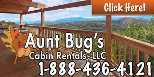 We are a family owned company that started the cabin rental company after many visits to gatlinburg. Aunt Bug S Cabin Rentals Pigeon Forge Cabin Rentals Pigeonforge Com