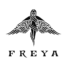 Selecting among half of those who die in battle (the other half go to the goddess freyja's afterlife field fólkvangr). Godin Freya Valkyrie Tattoo Norse Tattoo Symbolic Tattoos