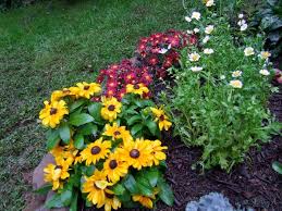 Another clever lighting idea is to purchase lights that look like garden stones and scatter the lights among the natural stones for a subtle effect. Lamppost Flower Bed Sherry S Place