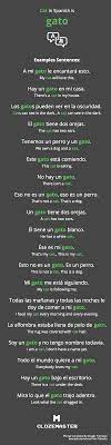 How To Say Cat In Spanish Clozemaster