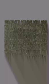 Image result for Vernonia ituriensis