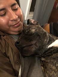 Who's missing their puppy in Burney Branch Circle?