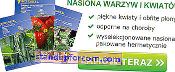 Bir de sulamasak ne olur bu ağaçları, imkansız mı. Hangi Sebzeler Yan Yana Dikilir Tablo