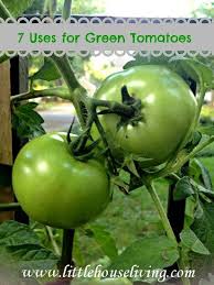 Uses For Green Tomatoes Green Tomato Recipes Green Tomatoes Tomato