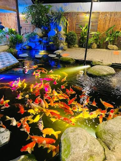 Koi Coffee Cửa Lò | Cua Lo