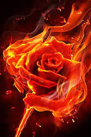 Love Is Like Fire Rose On Fire Fire Art Flame Art