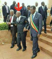 Image result for Paul Biya upcoming elections campaign