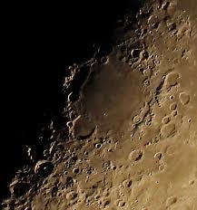 Nikon P1000 Review Field Test Part I