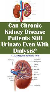 Pin On Kidney Disease Symptoms