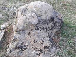 A Dan Z Ye Define Isaretlerin Cozumu Resimli Guncel Define Sohbeti Define Isaretleri Sorulari Ve Cevaplari 2020 Isaretler Tarim