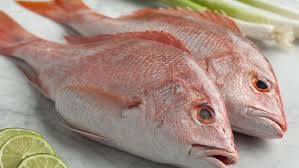 Protein juga dapat membantu membangun massa otot tanpa lemak. 11 Makanan Tinggi Protein Rendah Lemak Untuk Diet Apa Saja