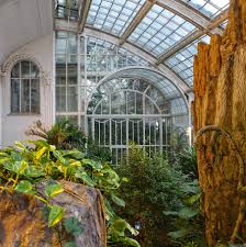 Wien Osterreich Schmetterlingshaus Am Burggarten Schmetterlingshaus Wien Osterreich Garten