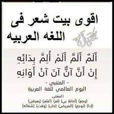 ابيات شعر غريبة اهم واغرب ابيات الشعر لا تفوتك هل تعلم