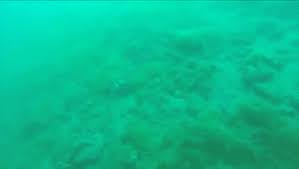 Discover more disaster gif, earth resulting gif, earthquake gif, energy gif. See An Underwater Earthquake Captured On Video By A Scuba Diver Nerdist