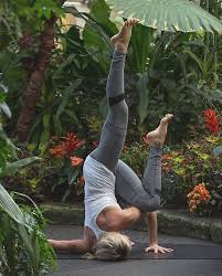 Insect Clipart Yoga Poses Advanced Essential Yoga Poses Advanced Yoga