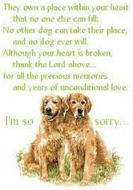 I pray for healing from the grief and guilt you feel over the loss of your pet dog or cat. 28 Dogs Prayers For Loss Ideas Dogs Dog Quotes Rainbow Bridge