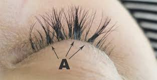 Maybe you would like to learn more about one of these? Why Bad Eyelash Extensions Last Longer With 6 Photos