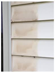 Stained White Vinyl Siding Beneath The Shutters