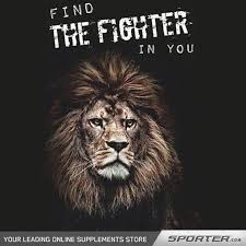 Sporterteam Sportercom Number 1 Awesome Noexcuses Nopainnogain Bodybuilders Bodybuilding Achieve Musclebuilding Sportercom Lion Quotes Animals Lions