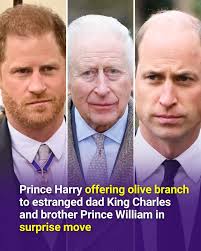 This rare clip of Diana wasn't shown