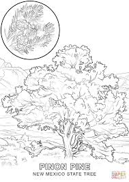 Most of our users return to us. New Jersey State Tree Coloring Page Blog Coloring Pages Charter