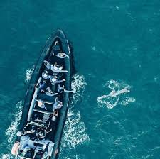 Booking Your Island Break The Chance Of Seeing Dolphins On A Jerseyseafaris Went Up Again This Year We Love Spott Dream Travel Destinations Yacht Royal