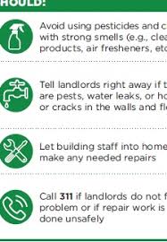 In new york city, it is the landlord's duty to provide the tenants with a habitable home that is free of pests and other health hazards. What Tenants Should Know About Indoor Allergens Local Law 55 Of 2018