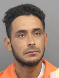 DAILY INCIDENT REPORT