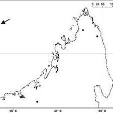 Image result for Coptosperma zygoon