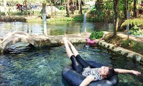 10 Gambar Mata Air Cimincul Subang Harga Tiket Masuk Rute Jalan Menuju Wisata Jam Buka Tutup Lokasi Alamat Jejakpiknik Com