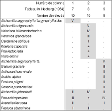 Image result for Alvesia clerodendroides
