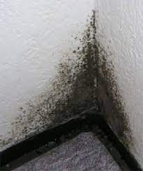 Ist die luft zu feucht, wird das salz die feuchtigkeit aufnehmen. Feuchte Wand Im Schlafzimmer Lah Ayame Piye