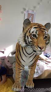 Google 3d Animals Google Augmented Reality What S On For Adelaide Families Kidswhat S On For Adelaide Families Kids
