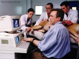 Providing diagnostic ultrasound services on the kapiti coast. Ultrasound In Pet Medicine What It Means What It Costs And Why Petmd