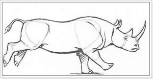 Scopri ricette, idee per la casa, consigli di stile e altre idee da provare. Cum SÄƒ Desenezi Un Rinocer Cu Un Creion Exemplu Cum SÄƒ Desenezi