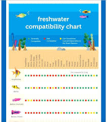 Community Fish Compatibility Chart New December 2017 Page