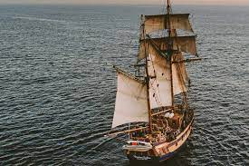 Pirates are criminals who steal vessels, people and goods on the sea and coastal areas. Pirate Or Privateer The Law Of The Sea Magazine Ponant