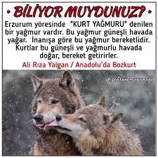 biliyor muydunuz biliyor muydunuz adlar yagmur