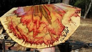 Boxelder Maple Wood Flame Box Elder By Oldwrangler Lumberjocks Com Beautiful Wood Maple Wood Burled Wood