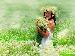 La Vie Est Courant D Intention Nina Pat Offrir Des Fleurs Fleurs Photos