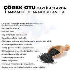Daha Fazlasi Icin Saglikcini Hesabimizi Takip Edin Corek Otu Bircok Yiyecekte Olmazsa Olmazdir Kendisi Kucuk Faydasi Buyuk Olan Corek O In 2020 Health Lockscreen