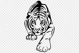 Libros, arte & artículos de colección: Libro Para Colorear Etiqueta De La Pared Tigre Blanco Blanco Mamifero Cara Png Pngwing