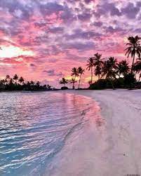 Sunsets, beach sunset, sunset ocean, sunset photography, sunset pictures, sunset sky, sunset beautiful, sunset background. Aesthetic Sunset Pink Beach Wallpaper