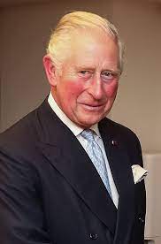 Couple's friend gayle king says they told her about demand royals speak out about 'racist press' and. Datei 2019 Reuniao Bilateral Com O Principe Charles 48848389972 Cropped Jpg Wikipedia