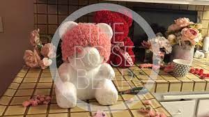 Check spelling or type a new query. Rose Bear Timelapse Youtube