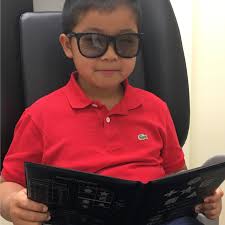 Dr. Francis Y. Cheng and Dr. Daphne Cheng, Optometrists