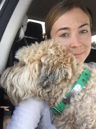 Quick Brown Fox: Ten agents at David Higman agency seeking authors: adult  fiction, kid lit, and nonfiction