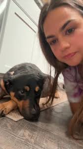 WAYYYYY cheaper than the allergy tests at the vet & seem 100% accurate to  me. So glad to finally get some answers. 😩 #dogallergies #allergy  #dogallergy #5strands #allergytest #fyp #foryou