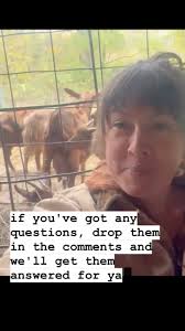 How do you get your goats ready for winter?, Sasha Sigetic  (@mother.of.wolves.1111) and Audra Trosper, Lead Editor of @goatjournal  will discuss what’s necessary to ensure the success of your herd ...