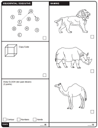 The test of the head puzzle: What S The Montreal Cognitive Assessment Mental Test Trump Took